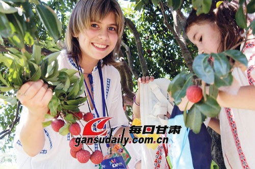 【附图】外国儿童在采摘荔枝--甘肃日报