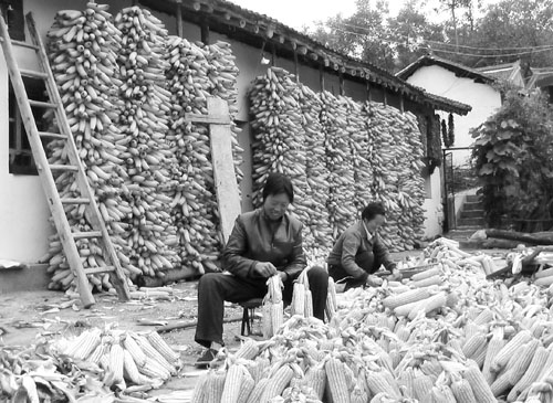 康县阳坝景区入围甘肃省十大旅游景区-康县