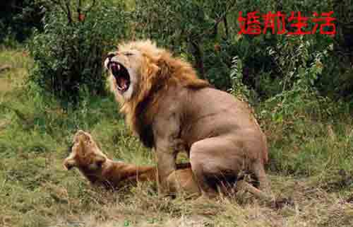 做爱姿势九大经典酷刑