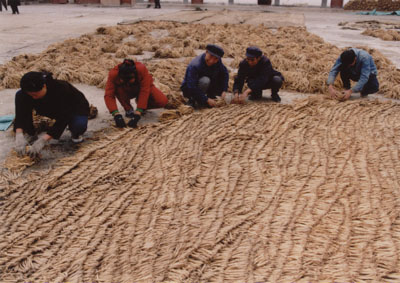 礼县gdp_7甘肃省陇南市礼县