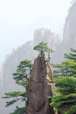 黄山标志性景观"梦笔生花"又成真