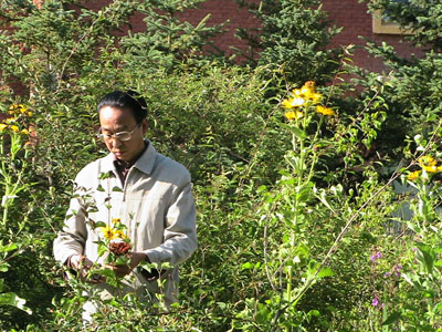 正高级林业工程师 杜品--甘肃