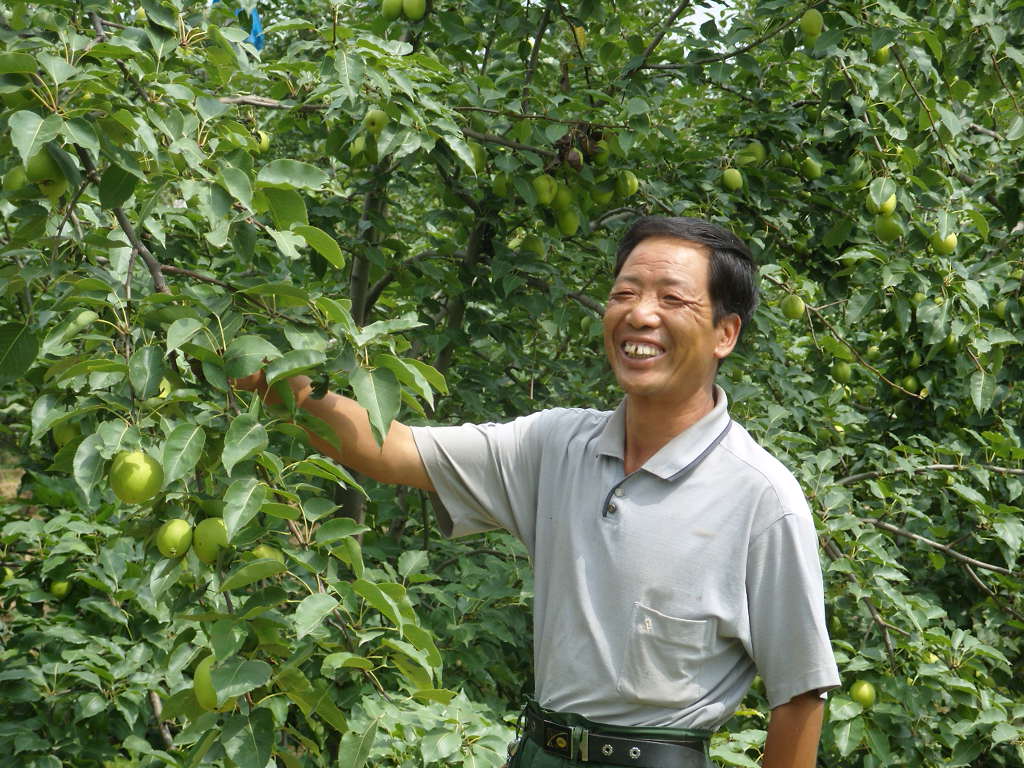 通渭果农收入占到了人均纯收入的70%