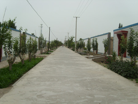 日本耕地面积_日本人均耕地面积(3)