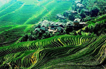 龙脊梯田:妩媚潇洒的曲线世界-龙脊,梯田,美景