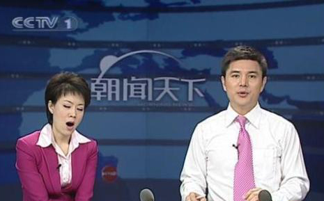 央视女主播文静