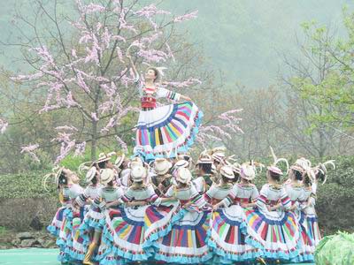 陇南市第二届采茶节4月16日在文县碧口龙池坪