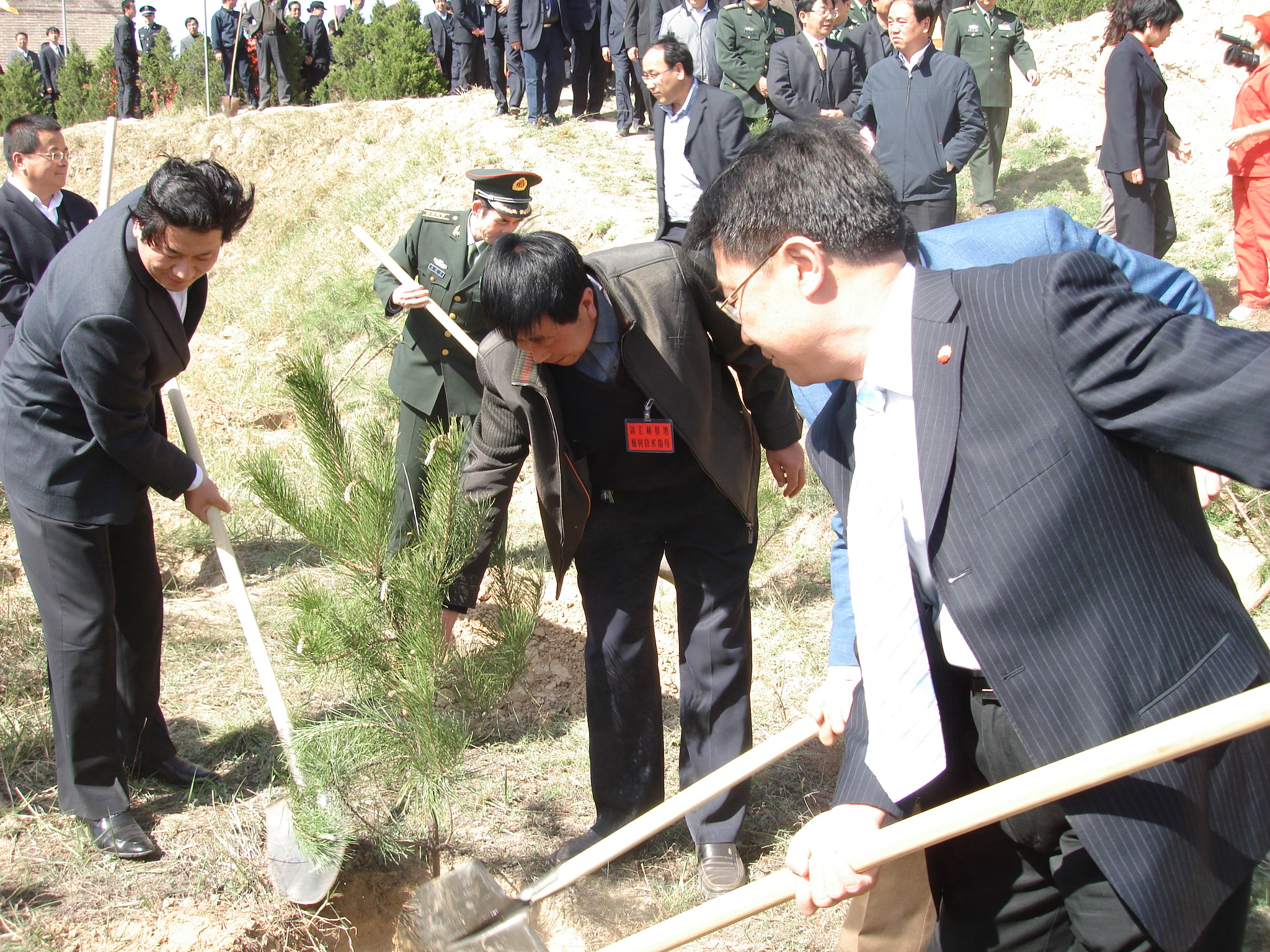 油长庆油田碳汇林基地建设启动仪式在庆城县举