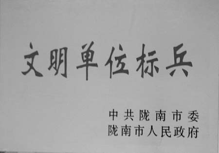 收入证明_以组织收入为中心(2)