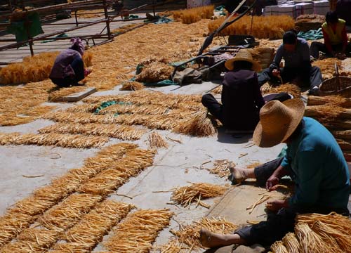 陇西县首阳镇gdp_陇西县首阳镇吴来生