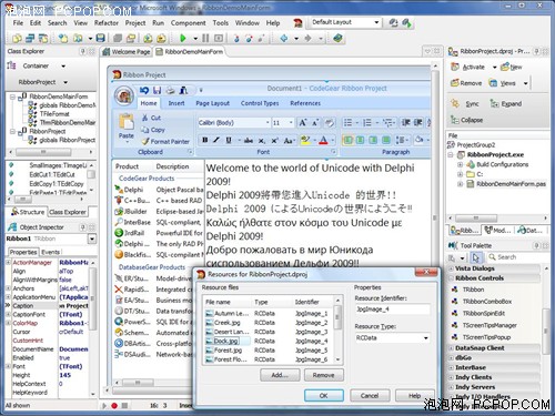 c++builder2009正式发布