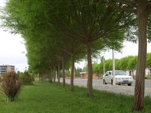 临沂人民广场面积_人均广场面积(2)