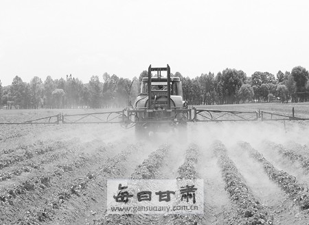 蛹虫草_虫草产量农民总收入(3)