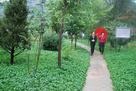 金徽酒业打造园林厂区提升品牌形象-金徽酒业