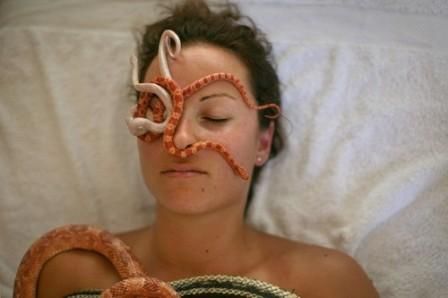 恐怖 巴拉克/以色列疗养地推出全新理疗法：蛇式按摩以色列用蛇做按摩