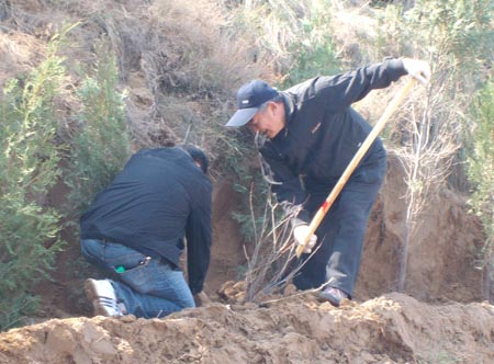 省人大常委会机关领导干部参加义务植树活动-