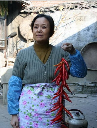 《中国家庭》重磅打造300集-《中国家庭》