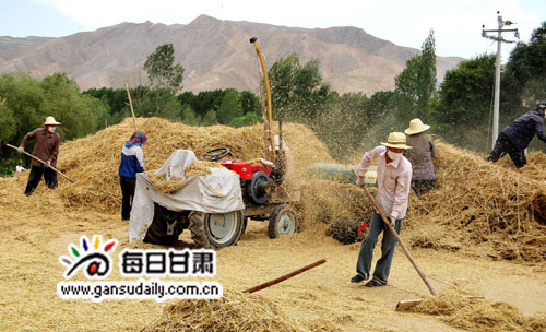 凉州区古城镇古城村村民正在为小麦脱粒