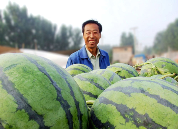 花海镇人口_人口普查图片