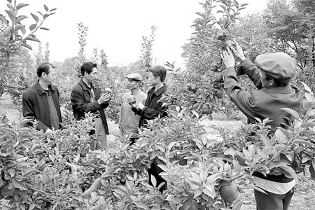 礼县gdp_礼县地图(2)