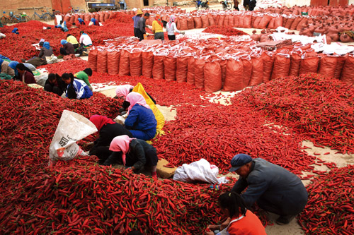 金昌市粮食局改作风提高服务质量-粮食局|服务