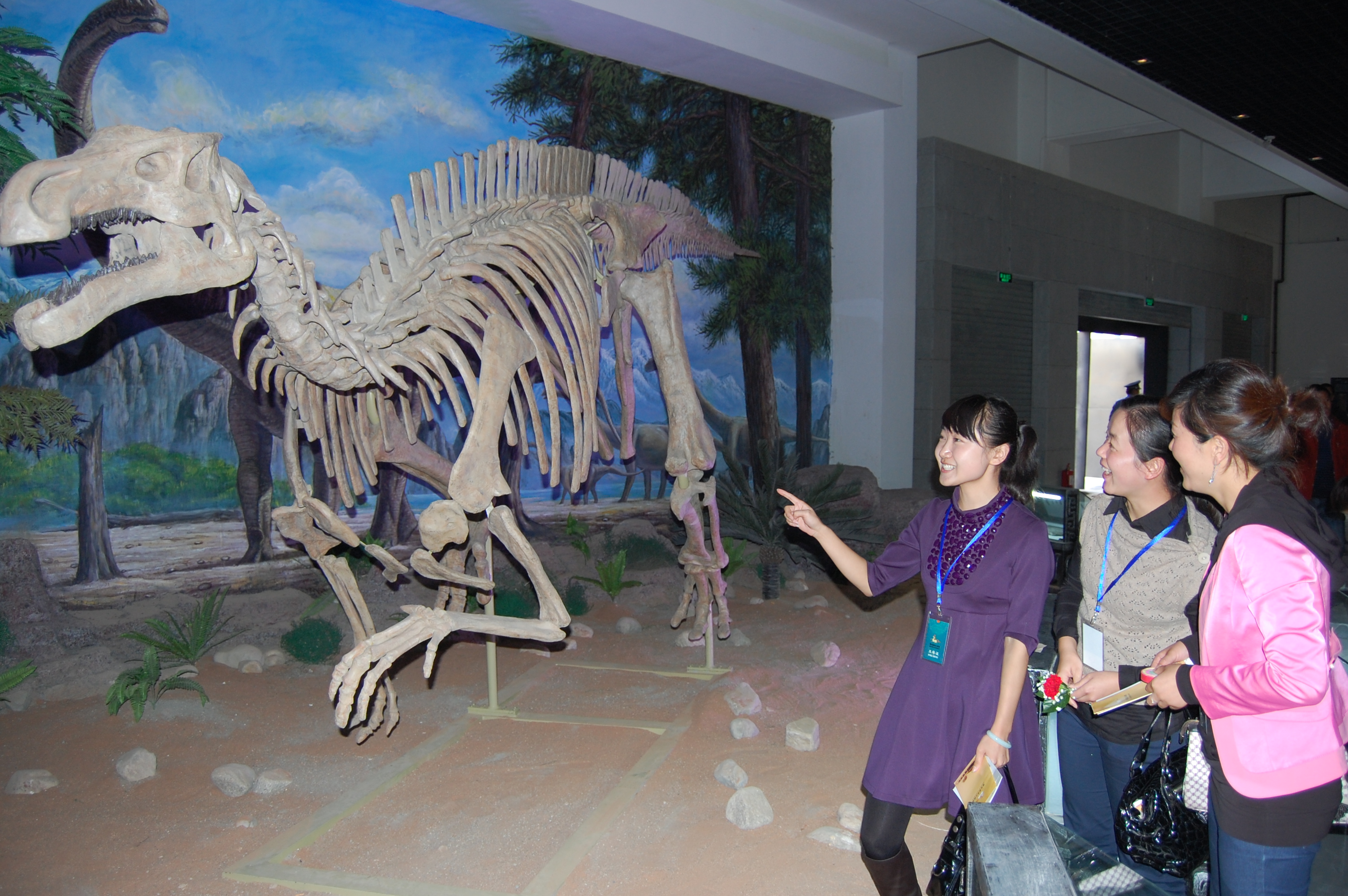 游客正在酒泉博物馆参观恐龙化石-酒泉博物馆