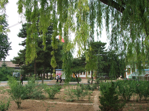 正宁四中-甘肃|陇原|教育|名校-每日甘肃-甘肃