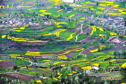 成县风景图片,成县西峡风景,成县_点力图库