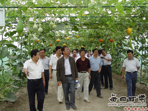 华西村人均收入_人均农业增加值(3)