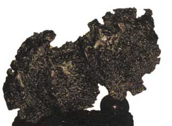 10686016_115097.jpg