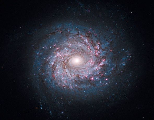 10725274_698682.jpg