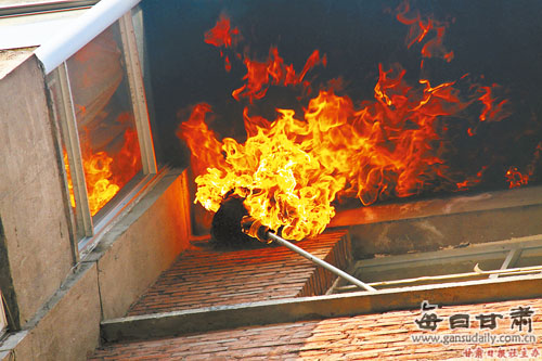 兰州:住户强忍马蜂骚扰数月 消防火攻歼灭马