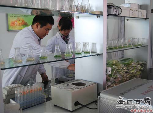 酒泉成立无公害果蔬检验检测中心-检测-每日甘