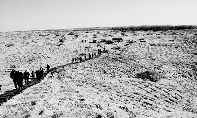 巴丹吉林和腾格里两大沙漠合围之势得到遏制(