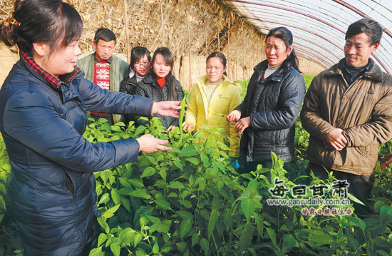 和政县农技人员为群众讲解温室蔬菜管理知识-