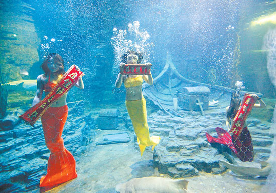 武汉东湖海洋世界美人鱼向观众展示春联-东