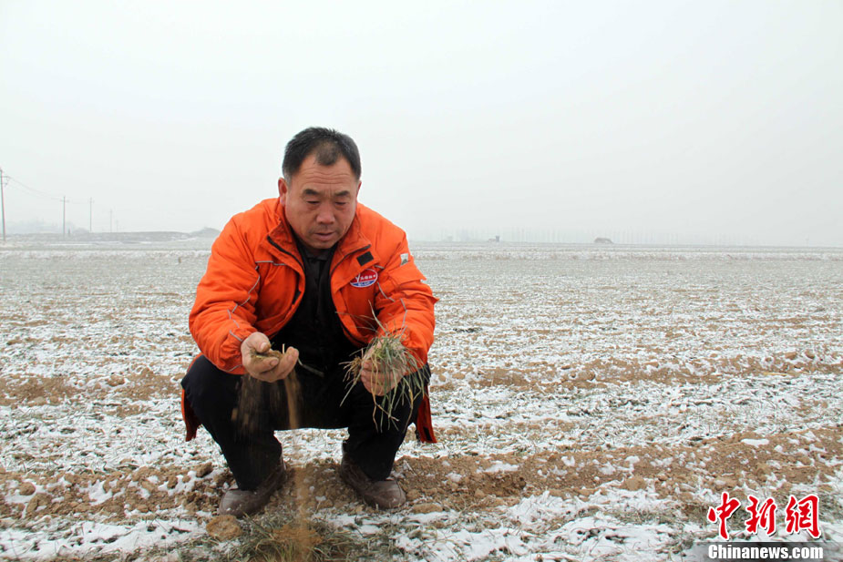 中国北方部分地区干旱持续