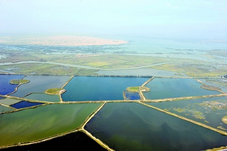 保存完好的湿地、水田-石嘴山|宁夏-每日甘肃-