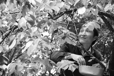 小龙虾每亩一年收入_农民一年的收入(3)