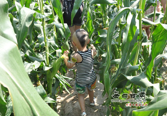 甘肃省第二届水果玉米采摘节在榆中成功举办