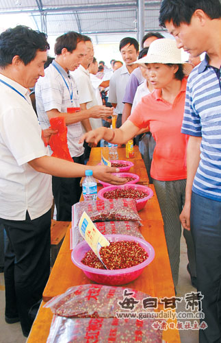 陇南市武都区采取各种措施保证收购花椒的质量