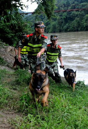 斗毒贩甘肃籍战士云南坠江-毒贩|战士|坠江