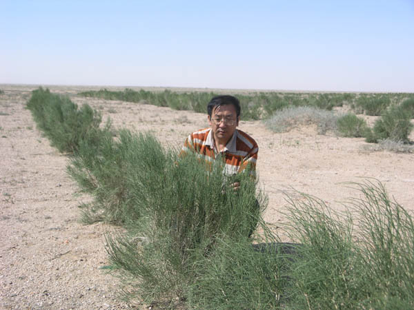 兰州大学草业学院在内蒙古推广荒漠草原植被恢