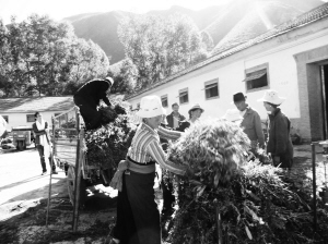 退休教师创办民营企业 靠借贷创办全州唯一牧