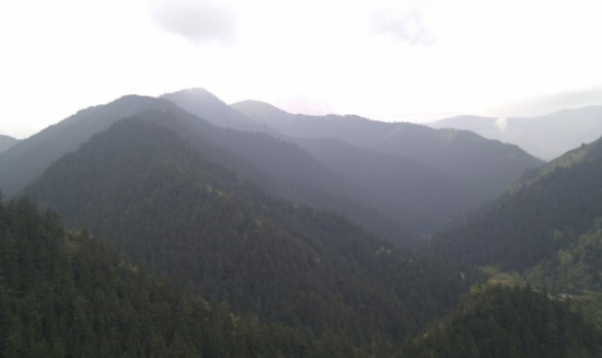 10920646_264822.jpg
