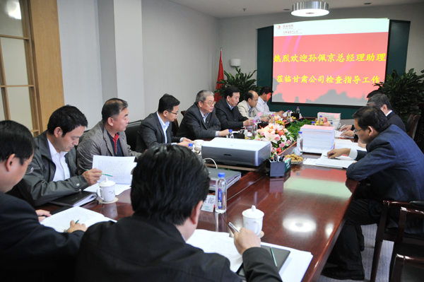 国网公司总经理助理孙佩京一行到公司调研