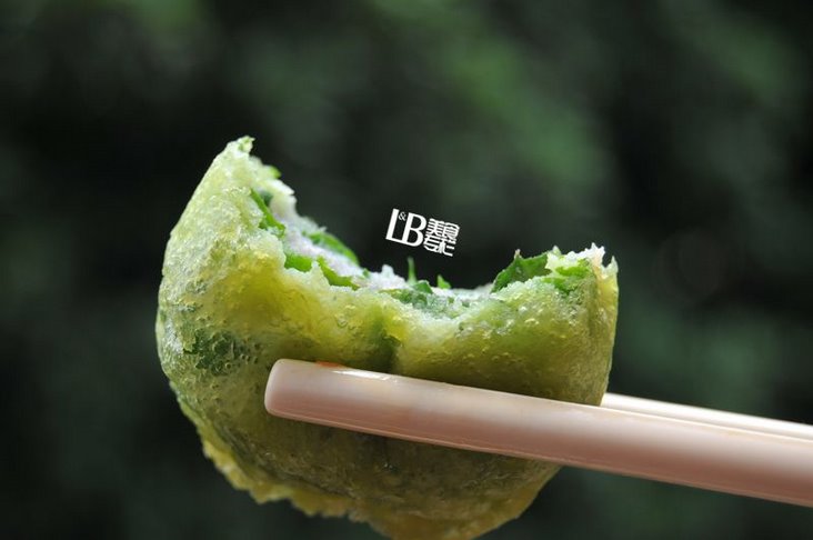 黎家绿叶宝-海南-每日甘肃-专稿