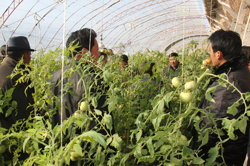 甘肃社会主义学院举办温暖工程甘肃中华职业