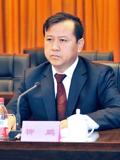 柳鹏任嘉峪关市委书记