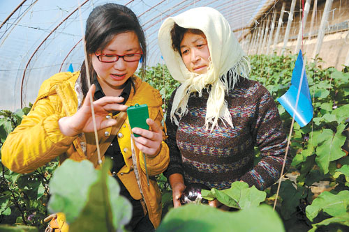 农业技术人员在蔬菜大棚中讲解测土配肥知识(